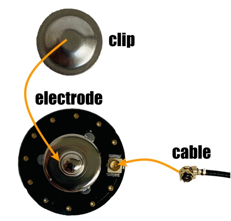 BrainAccess Standard Kit Setup - BrainAccess BrainAccess electrode mounting