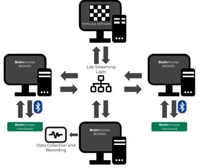 BrainAccess-Board-LSL-usage-example